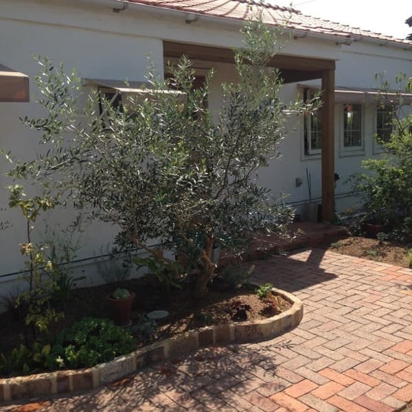Exterior Garden Tosc トスク
